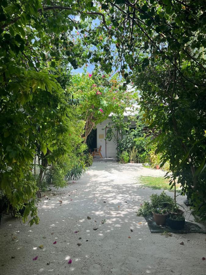 Lagoon Villa Maldives ソドゥー エクステリア 写真
