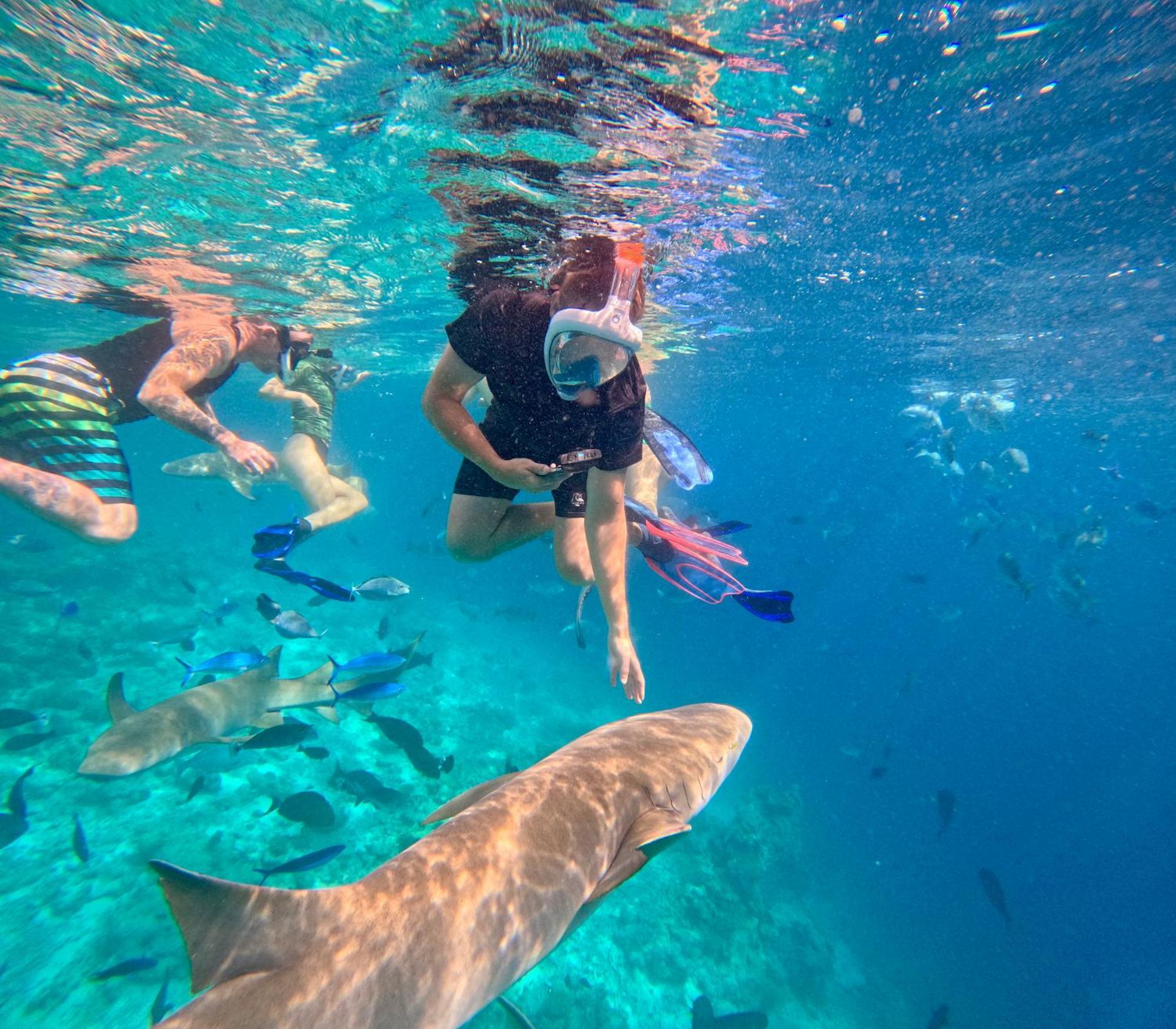 Lagoon Villa Maldives ソドゥー エクステリア 写真